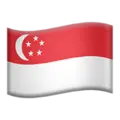 Vlajka Singapuru